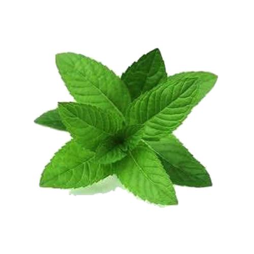 Huerto eden muna tea 6