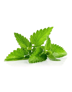 Sunka organic relaxing tea 5