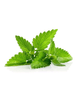 Sunka organic relaxing tea 5