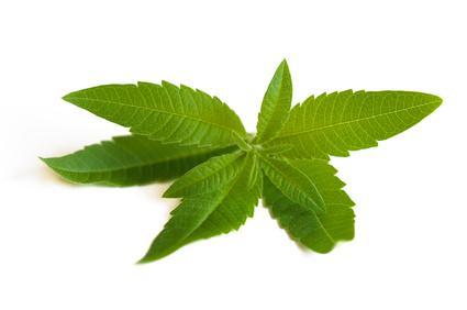 Sunka organic cedron tea 2