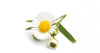 Sunka herbal tea women 5