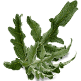 artichoke leaf tea