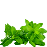 stevia tea