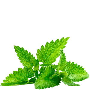 mint tea