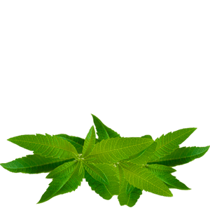 cedron tea
