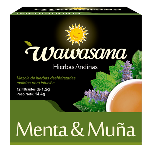 Mint and Muña Tea