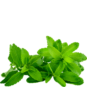 wawasana green tea stevia 3